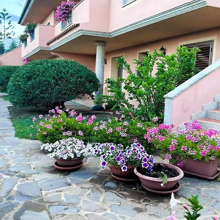 Stella Marina * أولبيا
