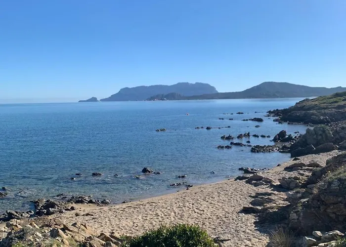 Апартаменти Stella Marina Ольбія